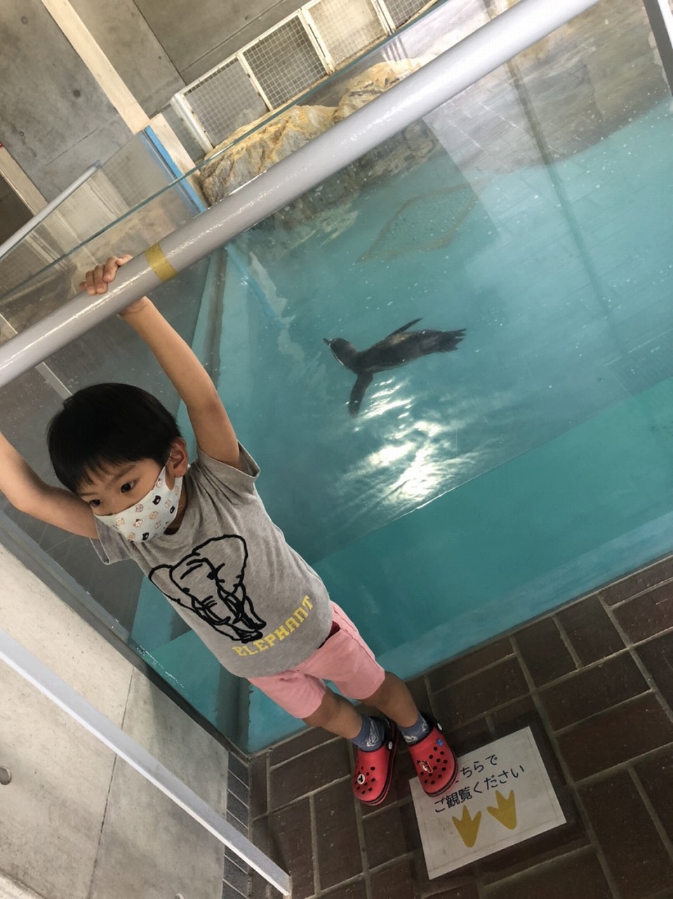 ぺんぎん