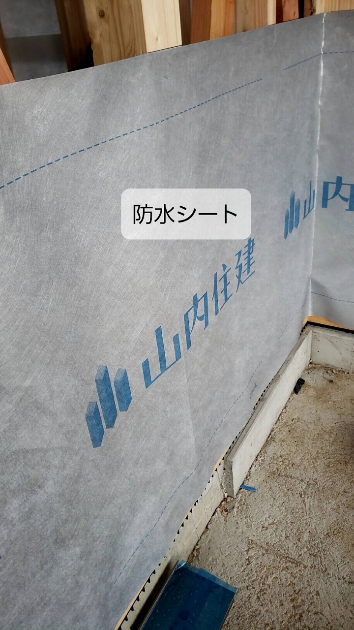 シート