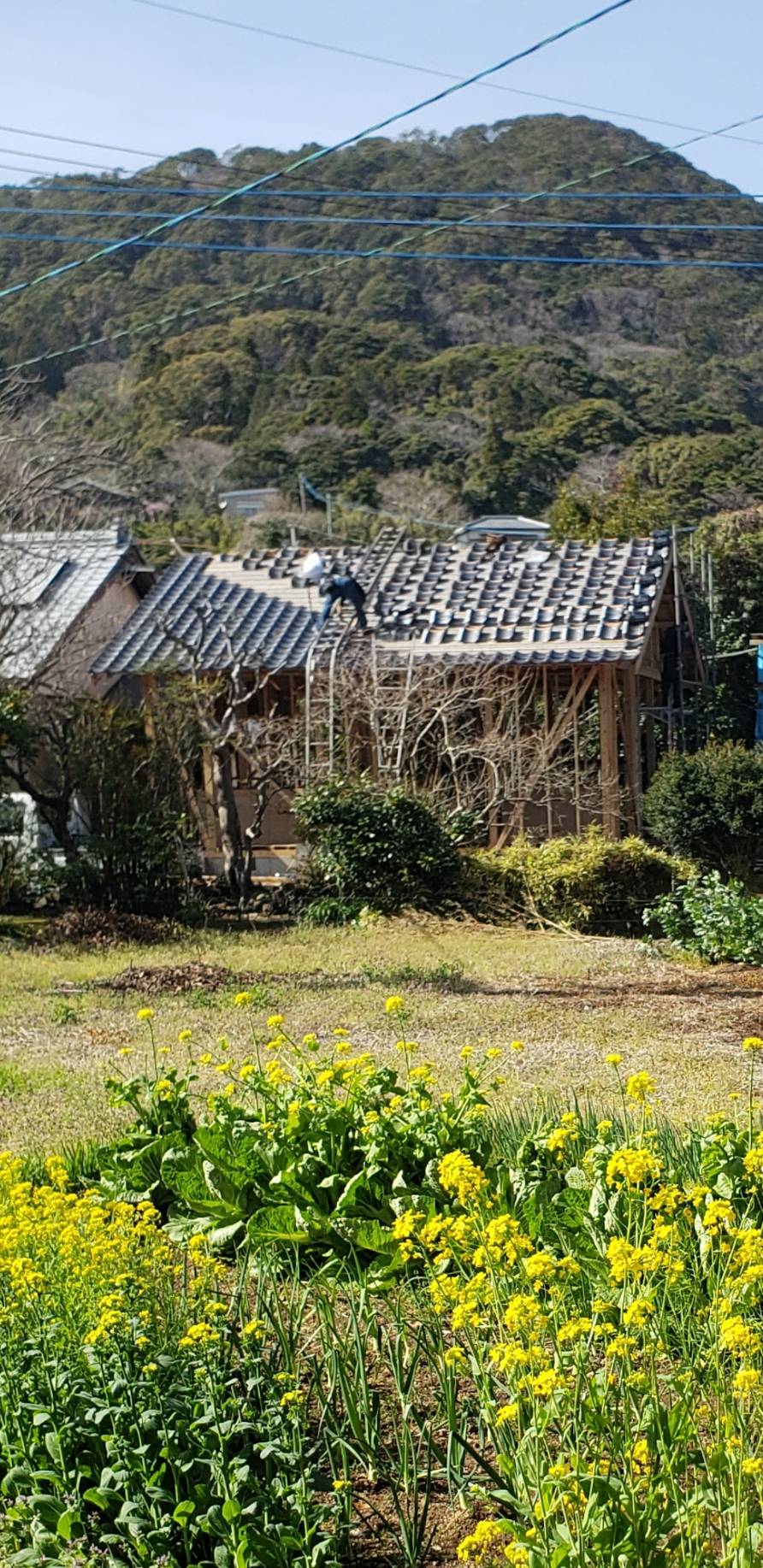 瓦屋根