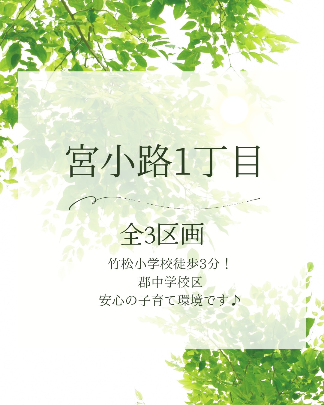 宮小路分譲地