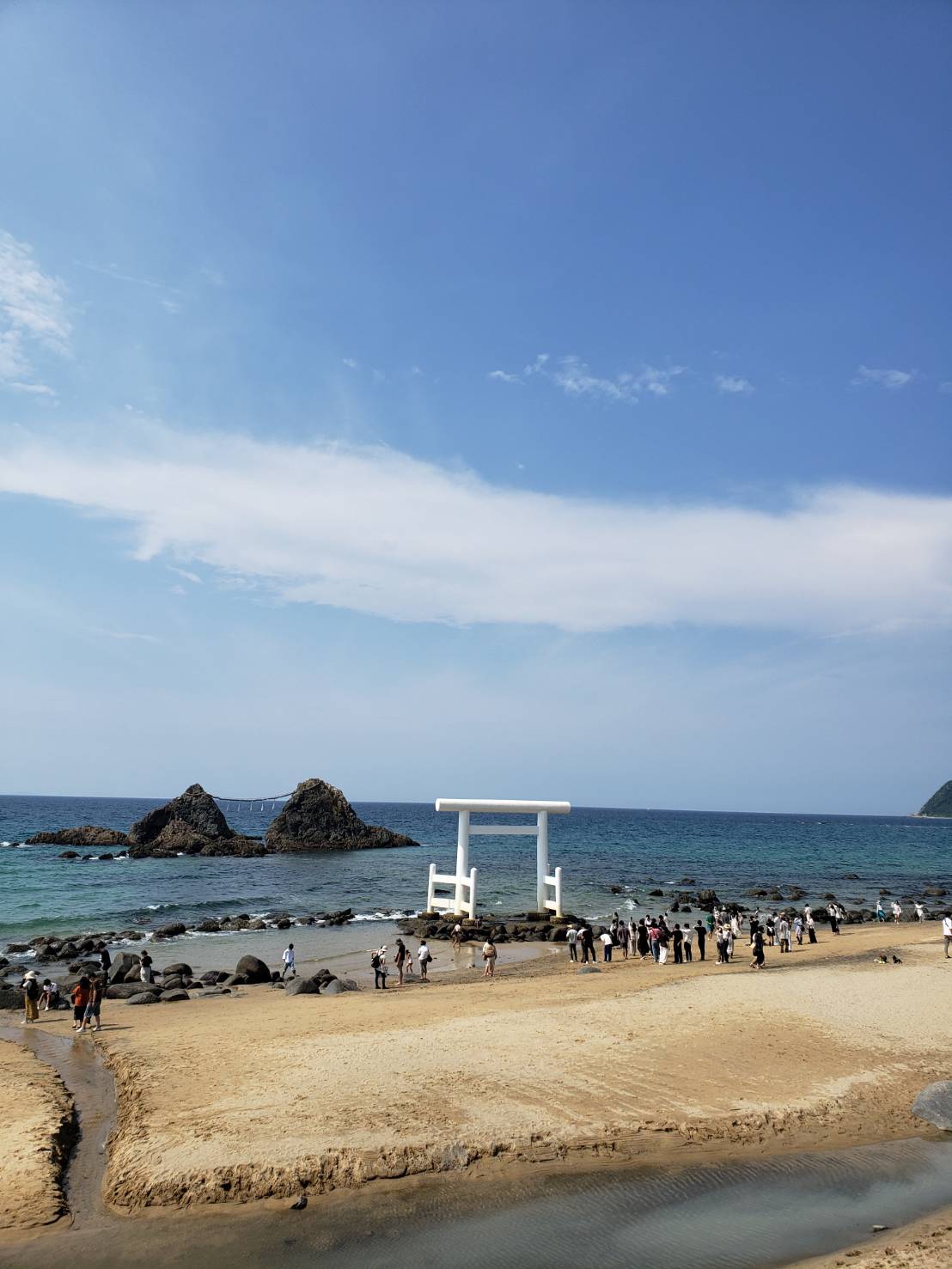 海