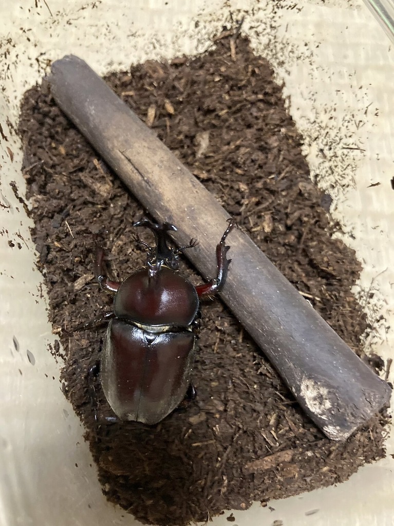 山内住建ブログ