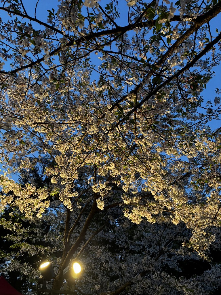 山内住建ブログ