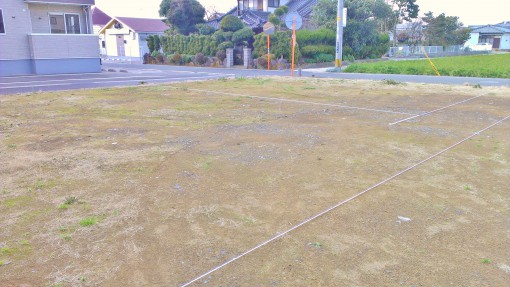 IMAG0987