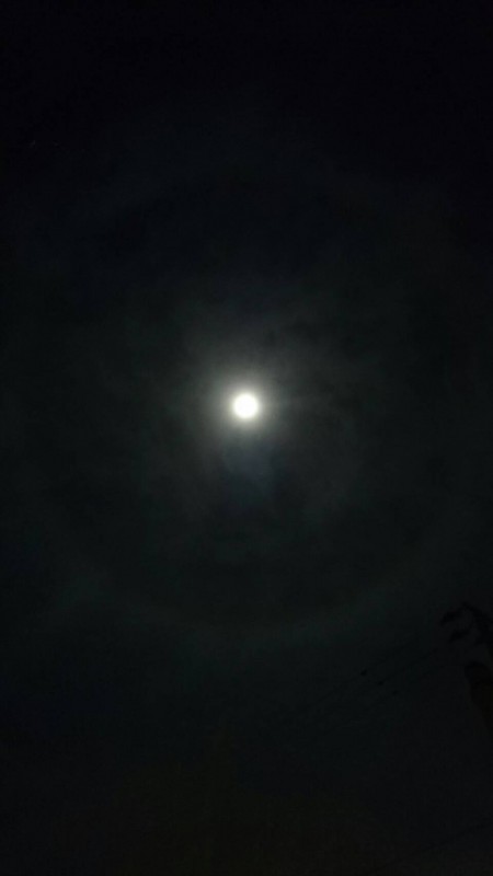 1478963210924-1